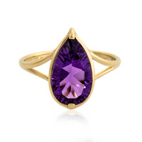 Gouden ring met een amethist
