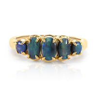 Gouden ring met een Lightning Ridge Zwarte Opaal (Mark Tremonti)