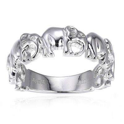 Zilveren ring