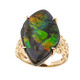 Gouden ring met een ammoliet (de Melo)