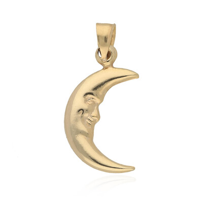 Gouden hanger