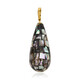 Zilveren hanger met Abalone schelpen
