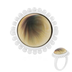 Zilveren ring met een Shiva oog