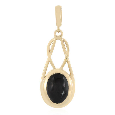 Zilveren hanger met een Indische Ster Diopsied
