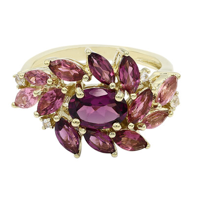 Gouden ring met een rhodliet
