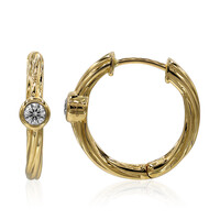 Gouden oorbellen met IF Diamanten (D)