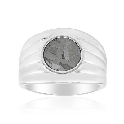 Zilveren ring met een Aletai meteoriet