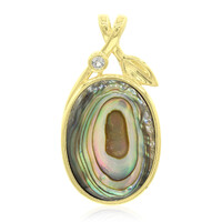 Zilveren hanger met een Abalone schelp