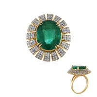 Gouden ring met een AAA Zambia smaragd (D'vyere)