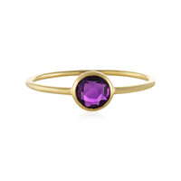 Gouden ring met een amethist