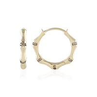 Gouden oorbellen met I3 Champagne Diamanten (de Melo)