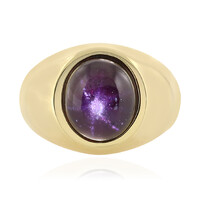 Zilveren ring met een Ster granaat