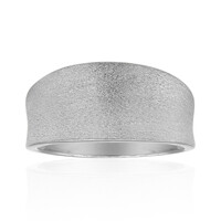 Zilveren ring