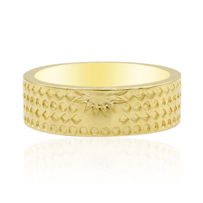 Zilveren ring