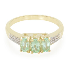 Gouden ring met Braziliaanse Paraiba toermalijnen