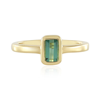 Zilveren ring met een groene Benedito toermalijn (Adela Silber)
