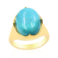 Zilveren ring met een Mine 8 Turkoois (Anne Bever)
