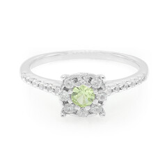 Zilveren ring met een Merelani Granaat