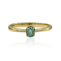 Gouden ring met een Grandidiriet (AMAYANI)