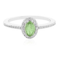 Zilveren ring met een Merelani munt granaat