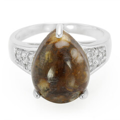Zilveren ring met een dinosaurus kwarts