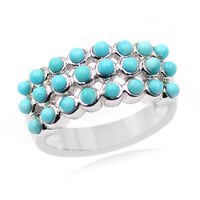 Zilveren ring met Sleeping Beauty Turkooisen (Anne Bever)