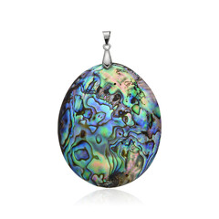 Zilveren hanger met een Abalone schelp