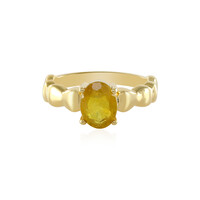 Zilveren ring met een Gele Madagaskar Saffier