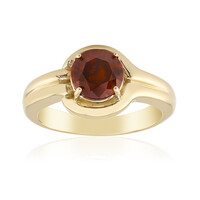 Gouden ring met een sfaleriet (Remy Rotenier)
