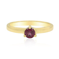 Zilveren ring met een rhodliet