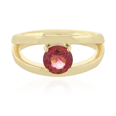 Gouden ring met een Nigeriaanse Neon Toermalijn (AMAYANI)