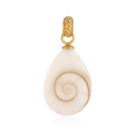 Zilveren hanger met een Shiva oog (Bali Barong)