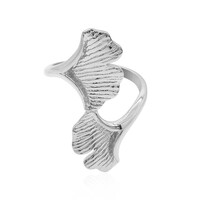 Zilveren ring