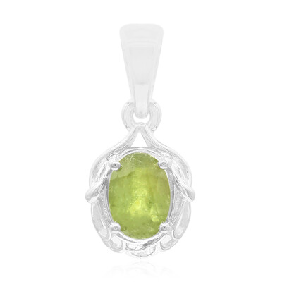 Zilveren hanger met een Namibian Demantoid