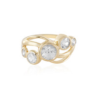 Gouden ring met een zirkoon (de Melo)