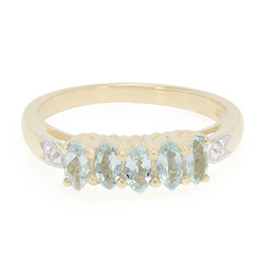 Gouden ring met Paraiba toermalijnen