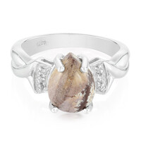 Zilveren ring met een Sonora Dendrieten Jaspis