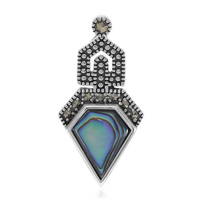 Zilveren hanger met een Abalone schelp
