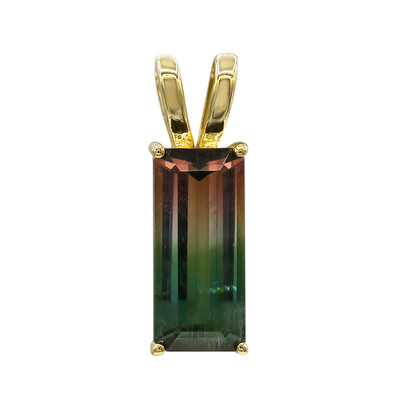 Gouden hanger met een meerkleurige toermalijn
