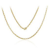 Gouden halsketting