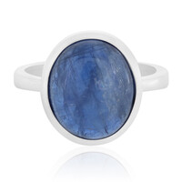 Zilveren ring met een Distheen