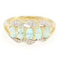 Gouden ring met Braziliaanse Paraiba toermalijnen