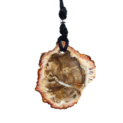 Halsketting met een Versteend hout