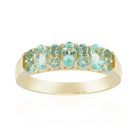 Gouden ring met Nigeriaanse Mintgroene Berilstenen