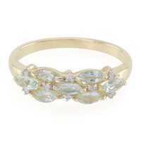 Gouden ring met Paraiba toermalijnen