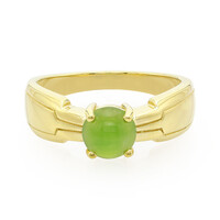Zilveren herenring met een keizerlijk chrysopraas
