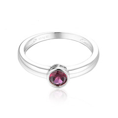 Zilveren ring met een Tocantin Granaat