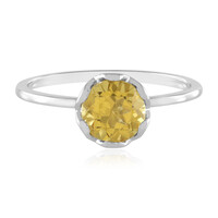 Gouden ring met een gouden beril