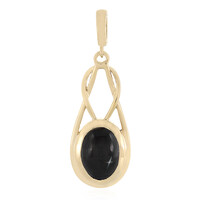 Zilveren hanger met een Indische Ster Diopsied