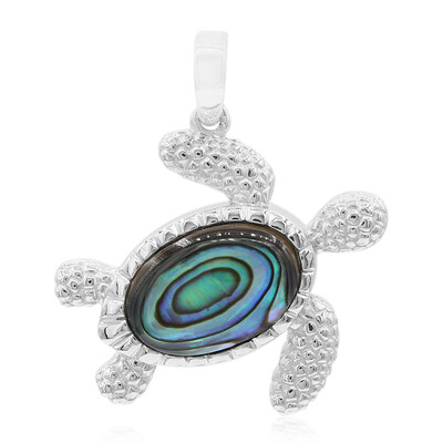 Zilveren hanger met een Abalone schelp